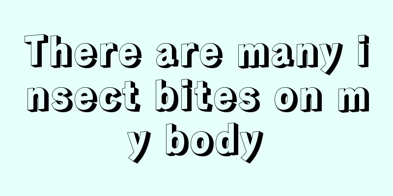 There are many insect bites on my body