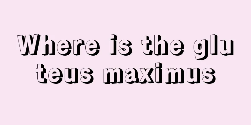 Where is the gluteus maximus