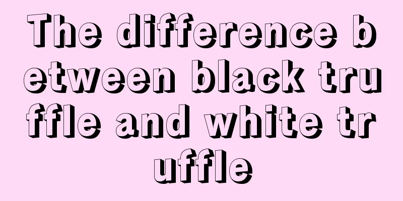 The difference between black truffle and white truffle