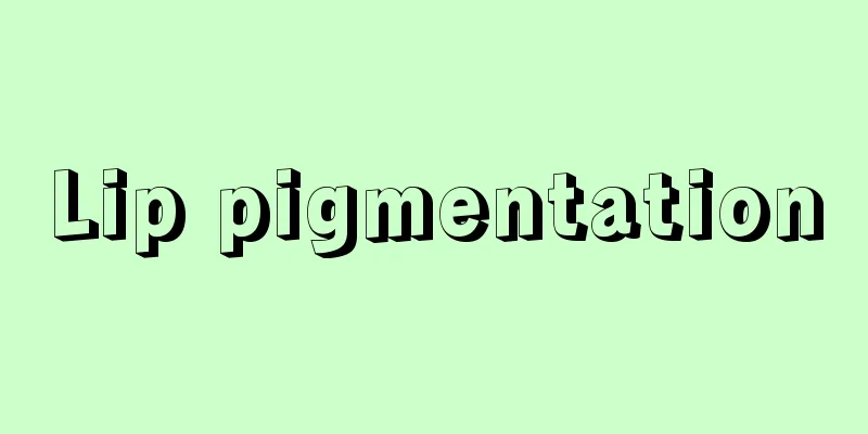 Lip pigmentation