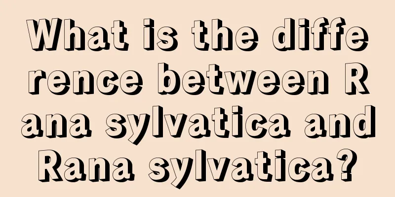 What is the difference between Rana sylvatica and Rana sylvatica? 