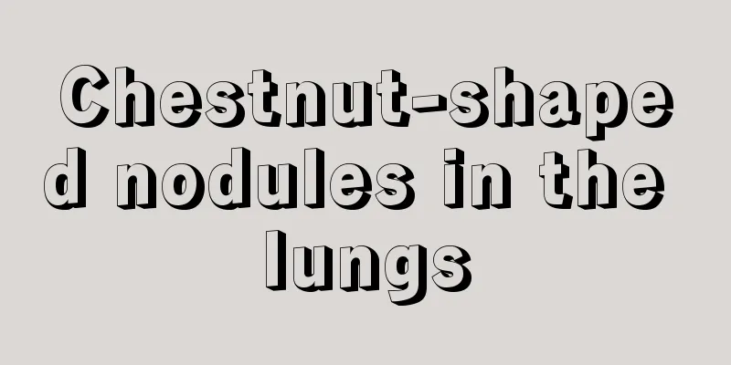 Chestnut-shaped nodules in the lungs