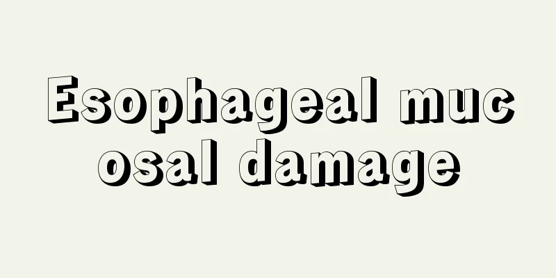 Esophageal mucosal damage
