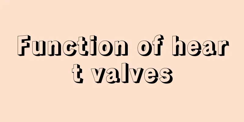 Function of heart valves