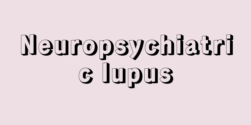Neuropsychiatric lupus