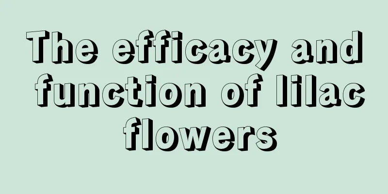 The efficacy and function of lilac flowers