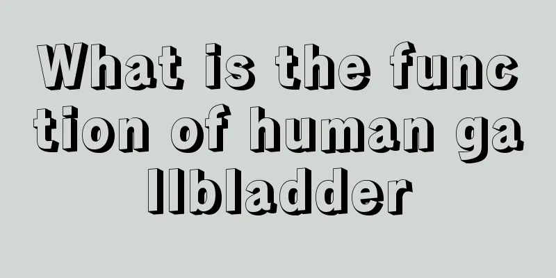 What is the function of human gallbladder
