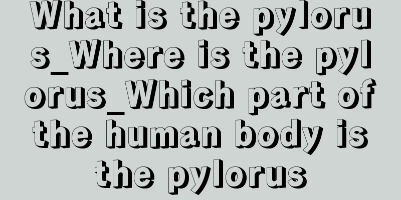 What is the pylorus_Where is the pylorus_Which part of the human body is the pylorus