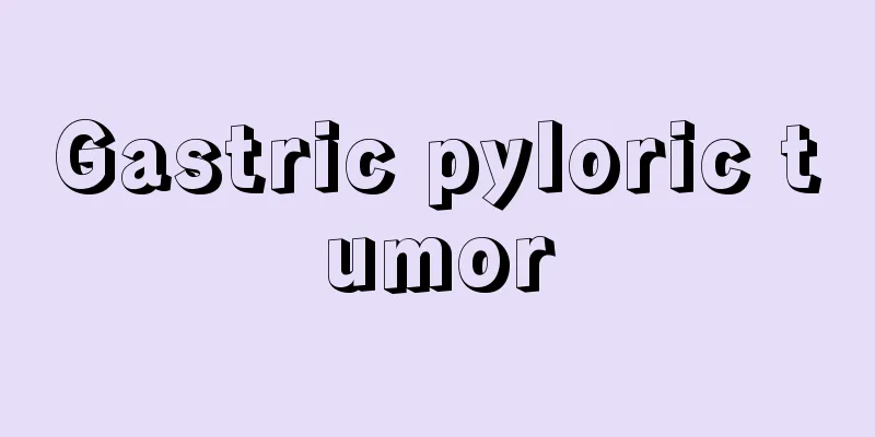 Gastric pyloric tumor