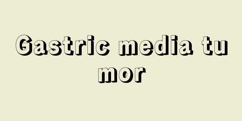 Gastric media tumor