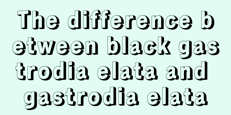 The difference between black gastrodia elata and gastrodia elata