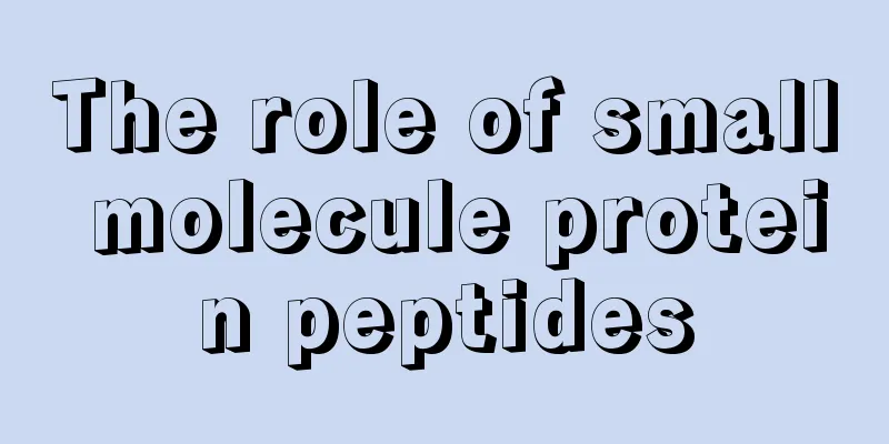 The role of small molecule protein peptides