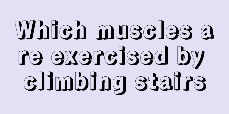 Which muscles are exercised by climbing stairs