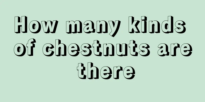 How many kinds of chestnuts are there