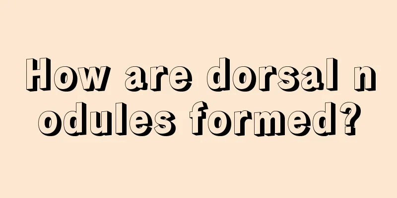 How are dorsal nodules formed?