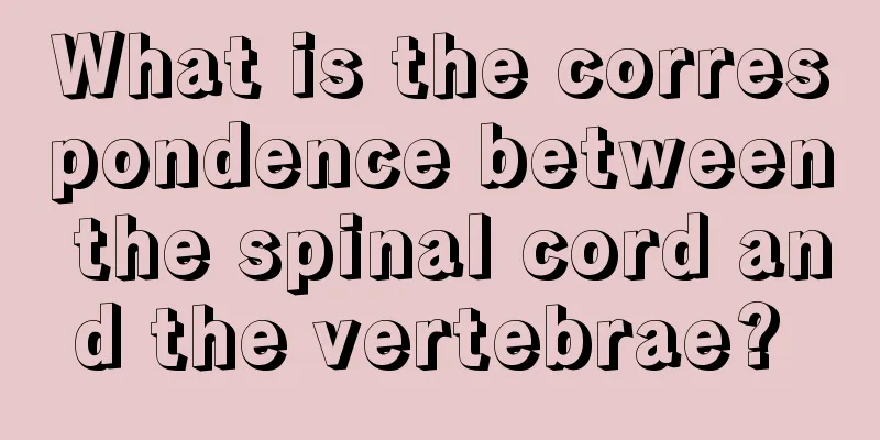 What is the correspondence between the spinal cord and the vertebrae? 