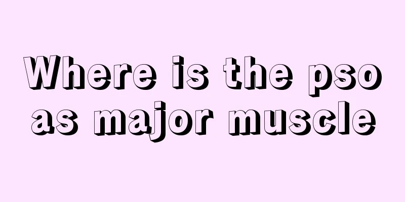 Where is the psoas major muscle