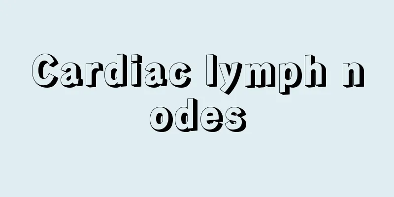Cardiac lymph nodes