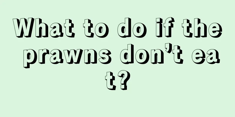 What to do if the prawns don’t eat?