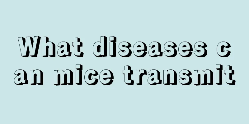 What diseases can mice transmit