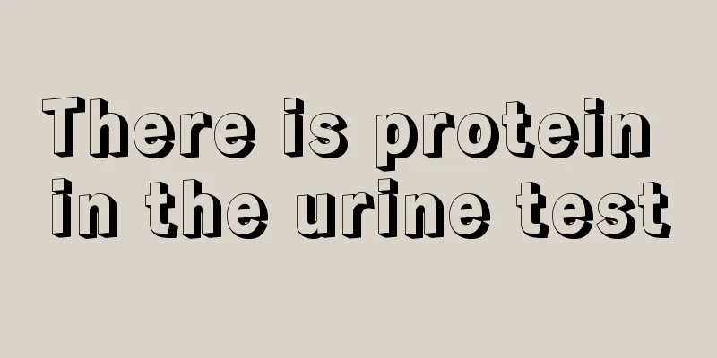 There is protein in the urine test