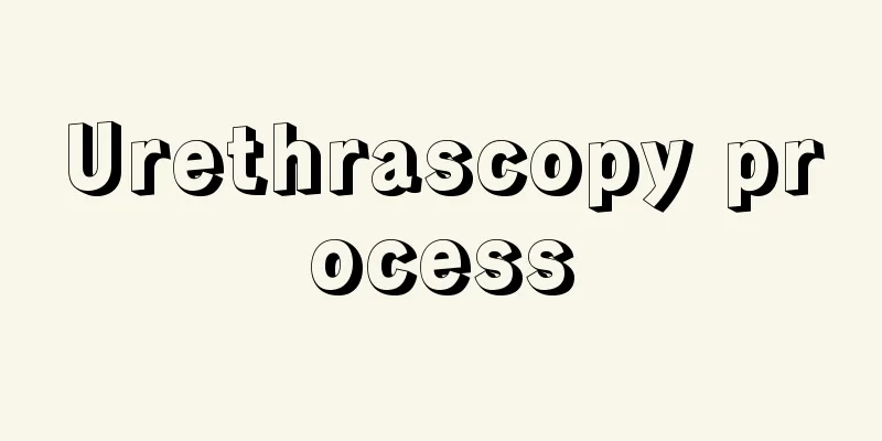 Urethrascopy process
