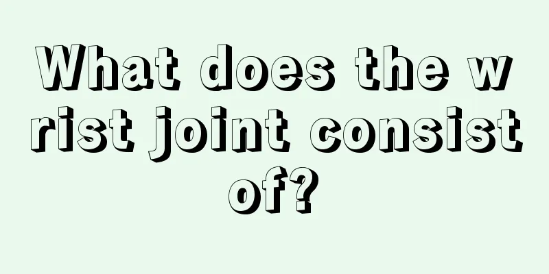 What does the wrist joint consist of? 