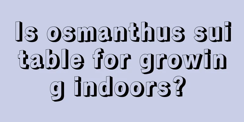 Is osmanthus suitable for growing indoors? 