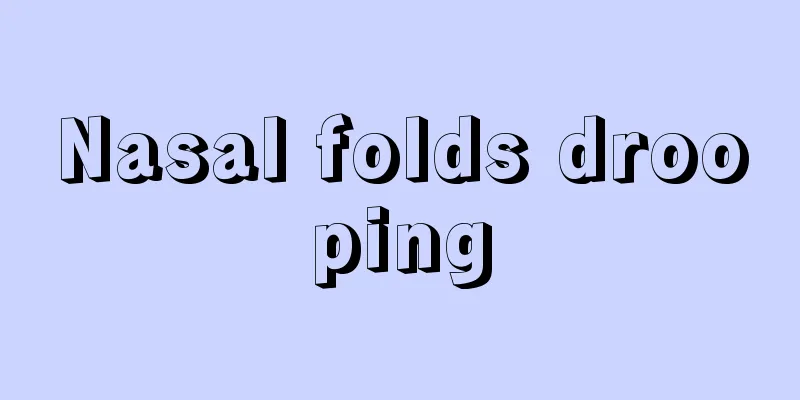 Nasal folds drooping