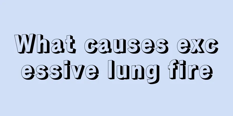 What causes excessive lung fire