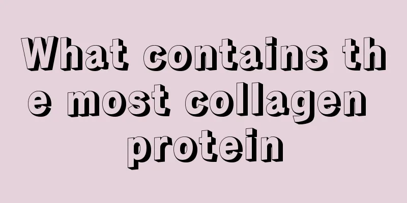 What contains the most collagen protein