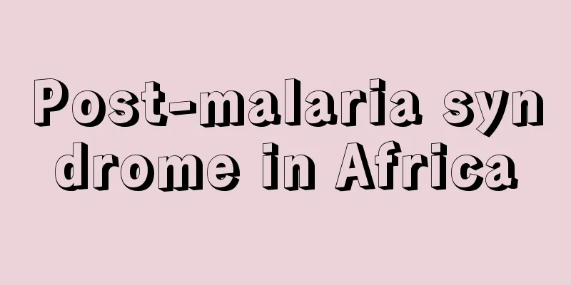 Post-malaria syndrome in Africa