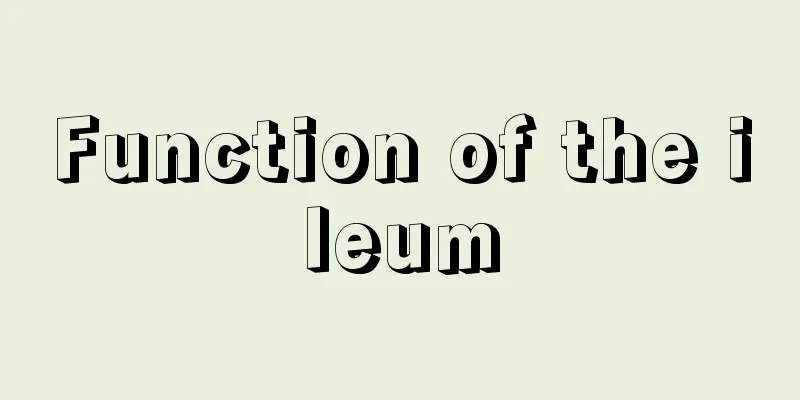 Function of the ileum