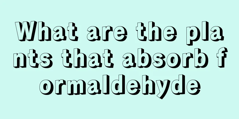 What are the plants that absorb formaldehyde