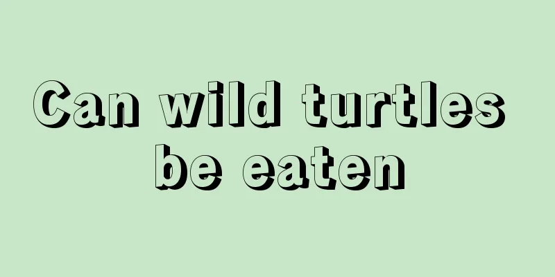 Can wild turtles be eaten