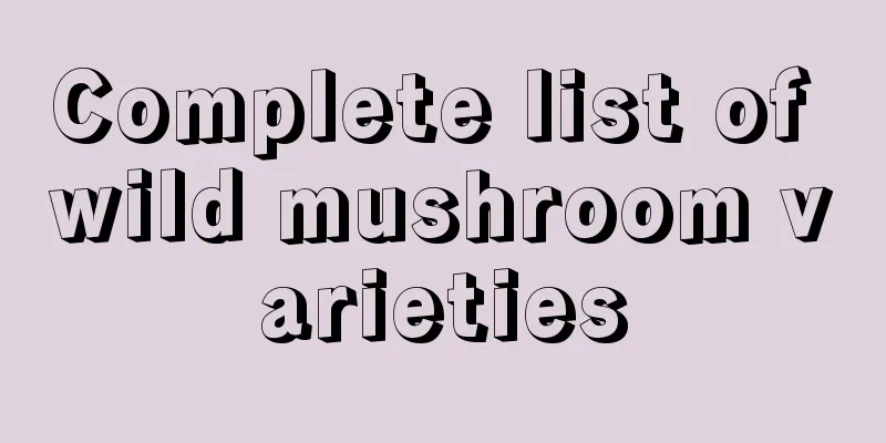 Complete list of wild mushroom varieties