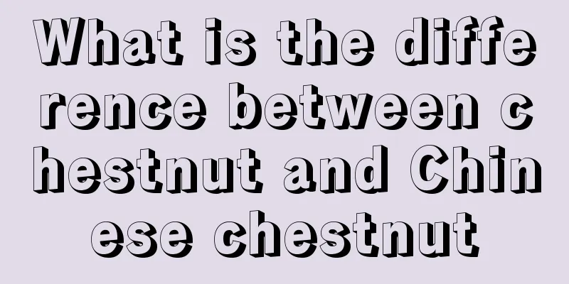 What is the difference between chestnut and Chinese chestnut