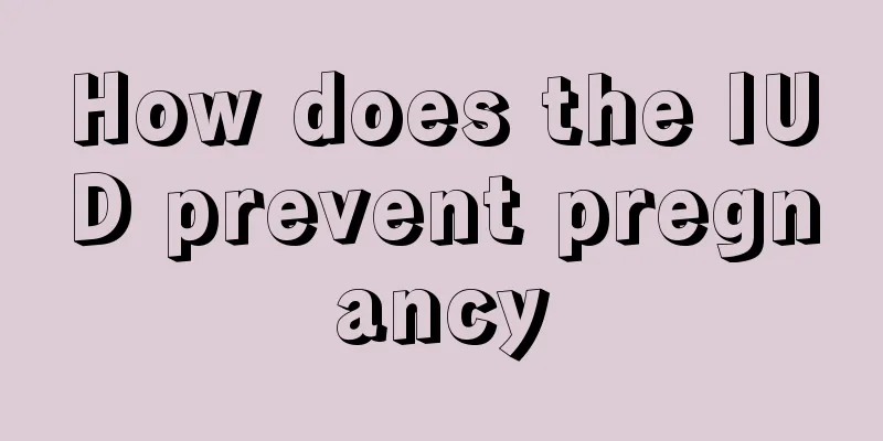 How does the IUD prevent pregnancy