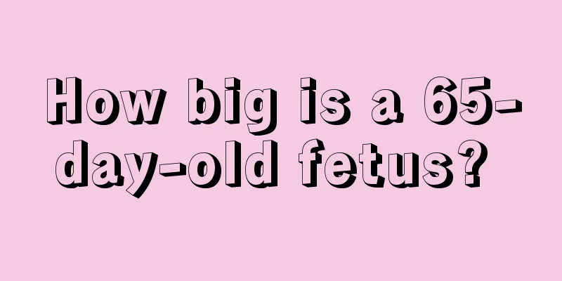 How big is a 65-day-old fetus? 