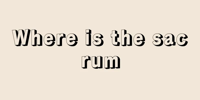Where is the sacrum