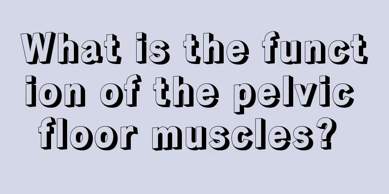 What is the function of the pelvic floor muscles? 