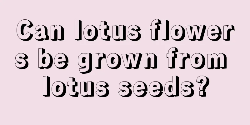 Can lotus flowers be grown from lotus seeds?