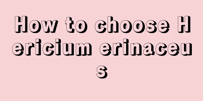How to choose Hericium erinaceus