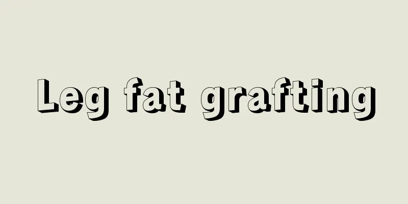 Leg fat grafting