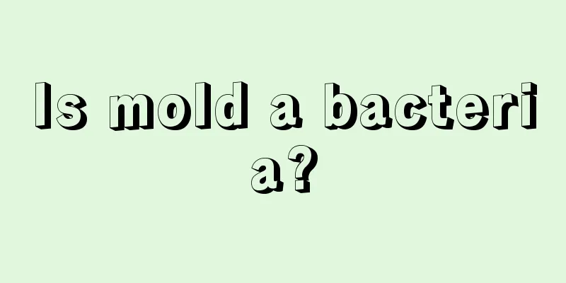 Is mold a bacteria?