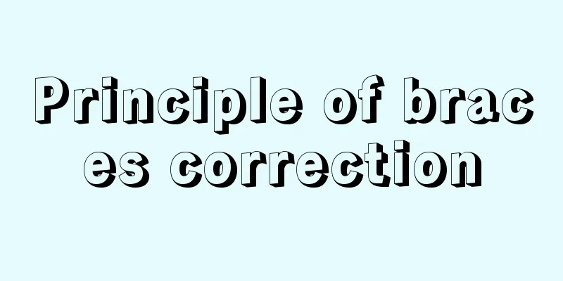 Principle of braces correction