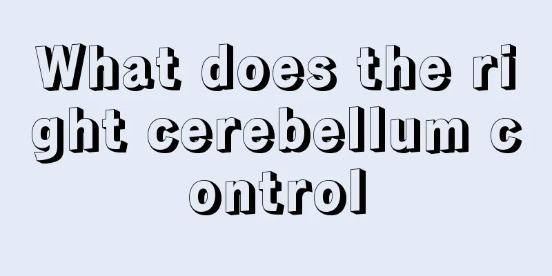 What does the right cerebellum control
