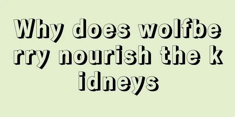 Why does wolfberry nourish the kidneys