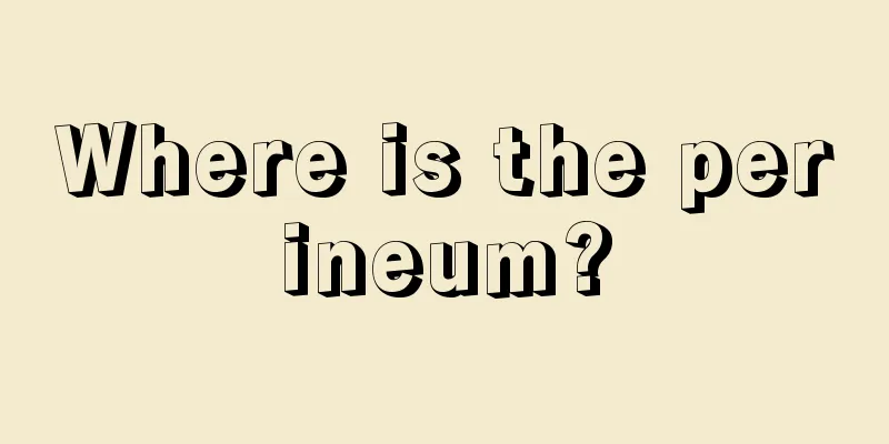 Where is the perineum?