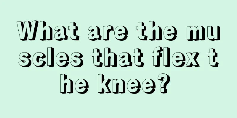 What are the muscles that flex the knee? 